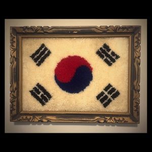 70s Korean flag shag carpet portrait